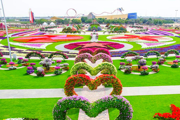 Luxury Attraction Tourism